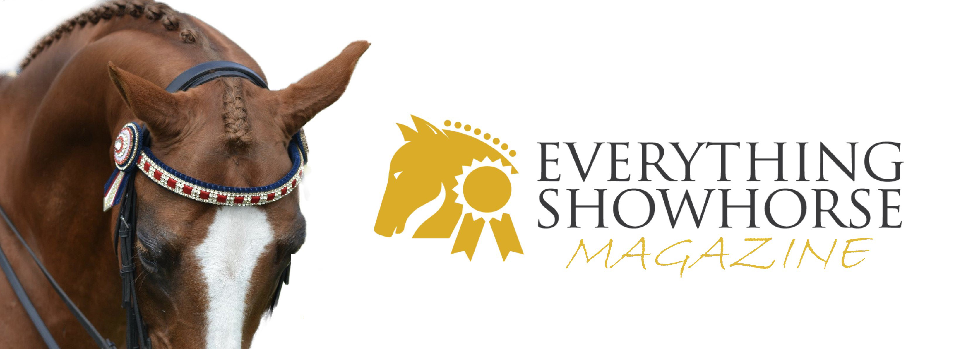 Everything Show Horse